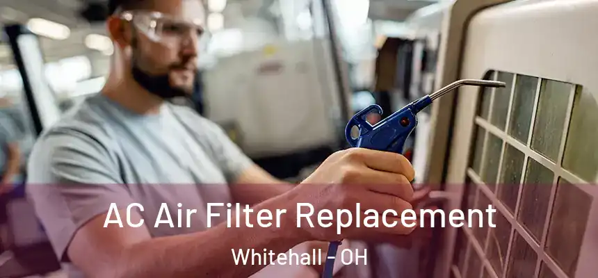  AC Air Filter Replacement Whitehall - OH