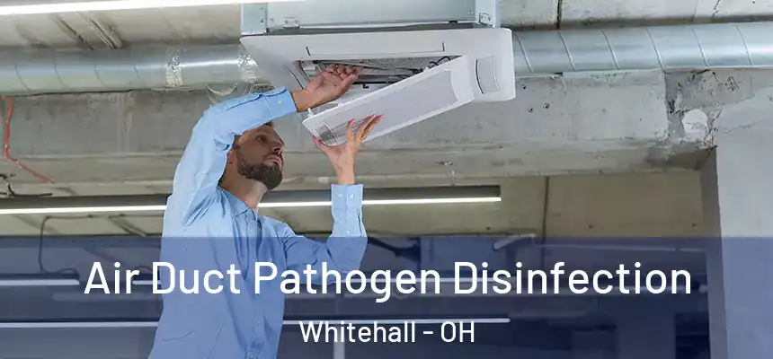  Air Duct Pathogen Disinfection Whitehall - OH