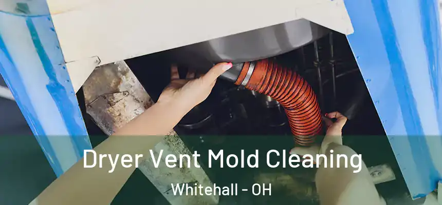  Dryer Vent Mold Cleaning Whitehall - OH