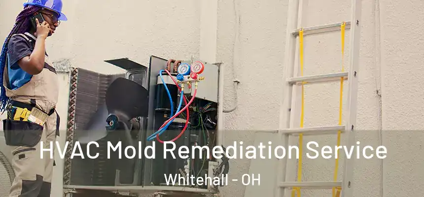  HVAC Mold Remediation Service Whitehall - OH
