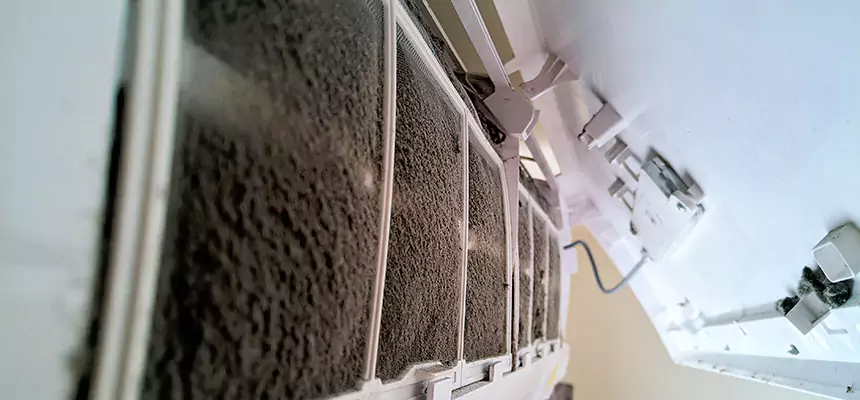 Preventive Air Duct Bacteria Removal in Whitehall