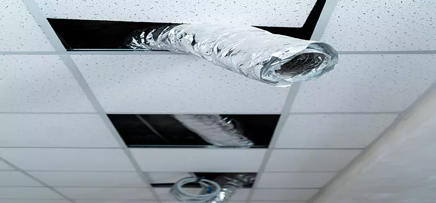 Affordable HVAC Sanitizing After Pest Removal in Whitehall