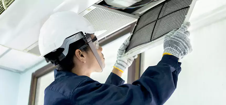 Our Mold & Mildew Removal from Air Ducts Services in Whitehall, OH