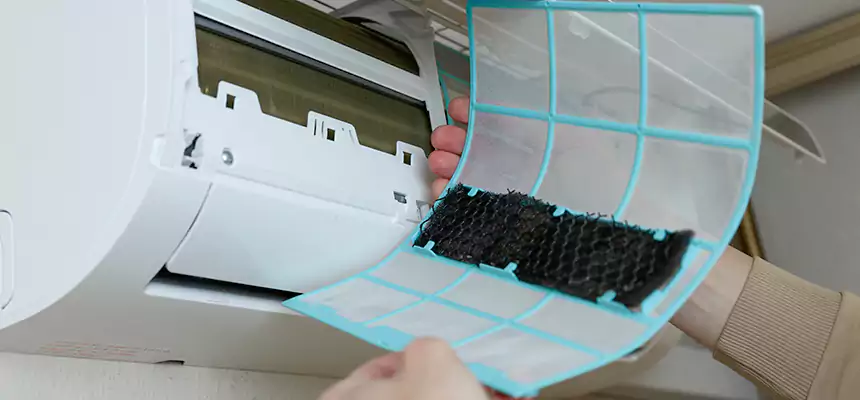 Gentle Ductwork Odor-Control Pet Dander Duct Cleaning in Whitehall, OH