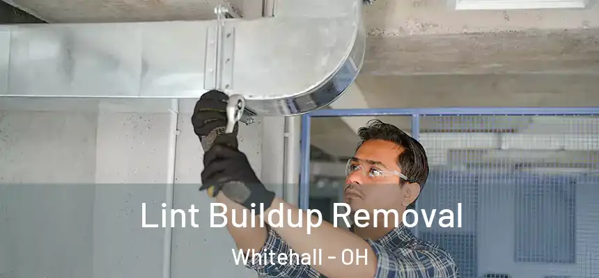  Lint Buildup Removal Whitehall - OH