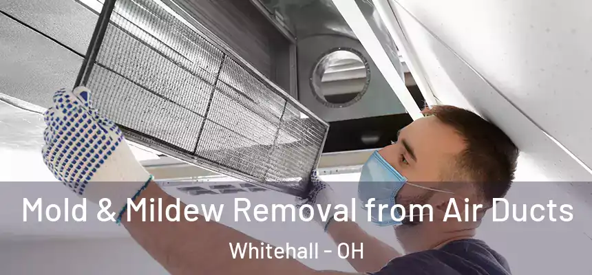  Mold & Mildew Removal from Air Ducts Whitehall - OH