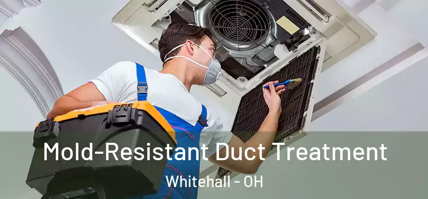  Mold-Resistant Duct Treatment Whitehall - OH