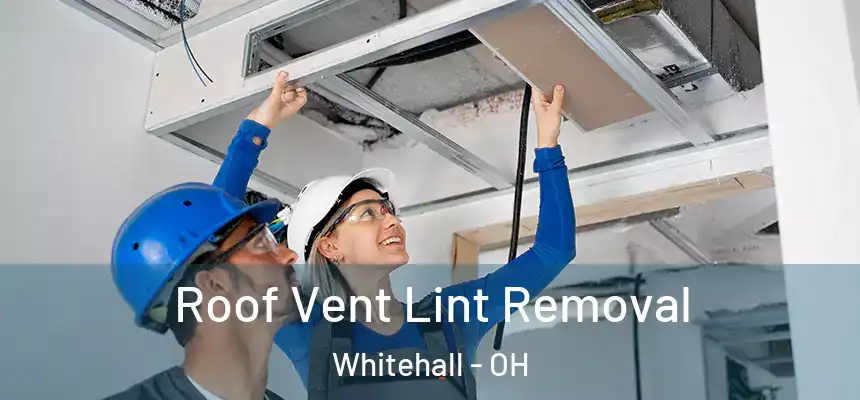  Roof Vent Lint Removal Whitehall - OH