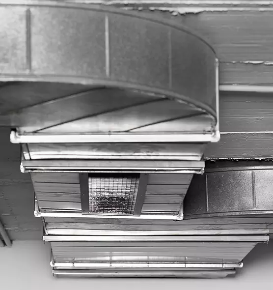 Professional Air Duct Pest Removal in Whitehall, OH