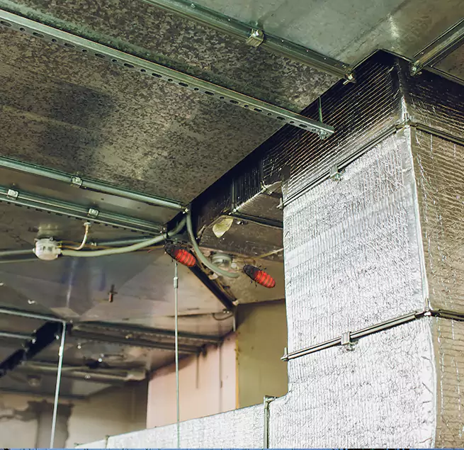 Why Homeowners & Businesses Trust Us Whitehall, OH?