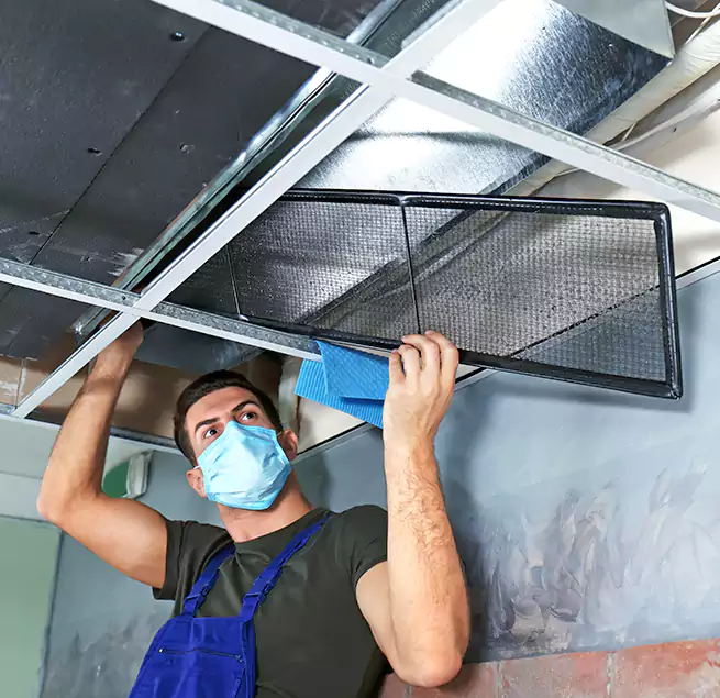 Why Homeowners Businesses Trust Us in Whitehall, OH