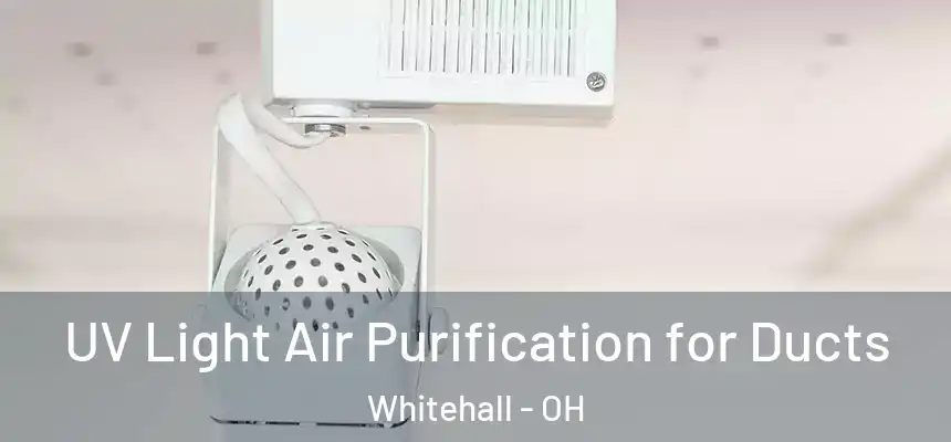  UV Light Air Purification for Ducts Whitehall - OH
