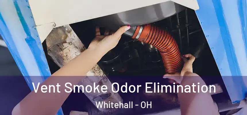  Vent Smoke Odor Elimination Whitehall - OH