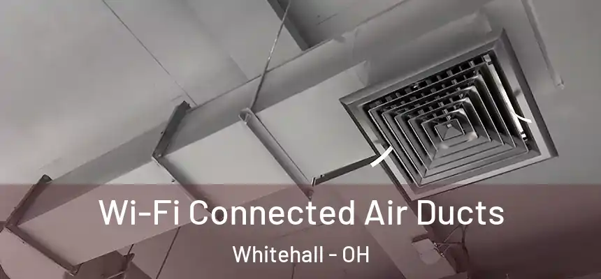  Wi-Fi Connected Air Ducts Whitehall - OH